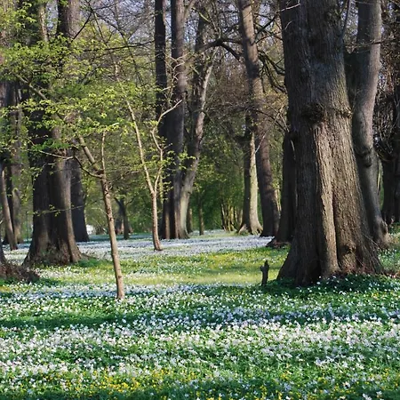 Apartman Kurparkcarree - 